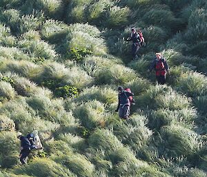 The team descend down Doctors Track to the isthmus