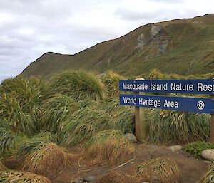 A picture of the Macquarie Island Nature Reserve sign