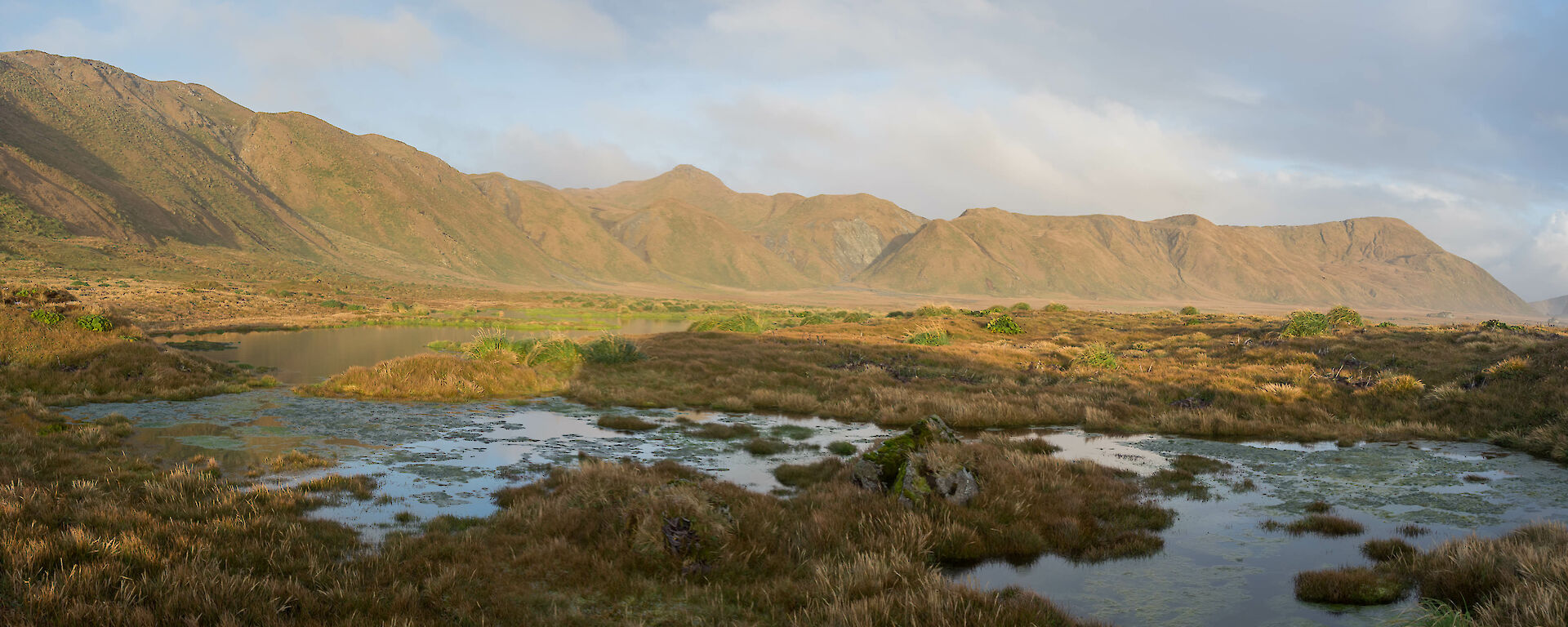 Looking over the featherbed to the plateau in sunlight