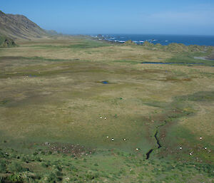 Looking out over the southern featherbed.