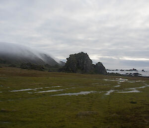 Fog rolling in over the featherbed at sunset. The wet of the ground clearly evident in foreground.