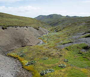 A picture of Whisky Creek at the southern end of the island, which feeds into Waterfall Lake.