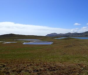 Looking towards Major Lake with numerous smaller lakes and ponds in foreground