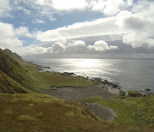 A veiw of the royal penguin colony at Waterfall Bay