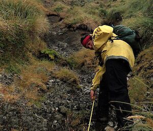 A person measuring the dimensions of Stellaria plants in a dry waterfall part way up the eastern escarpment