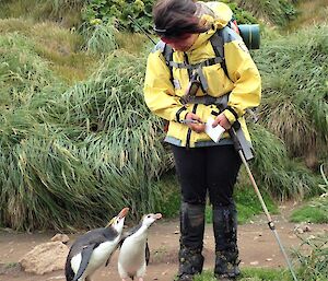 A woman writing on a notepad with two royal penguin watching