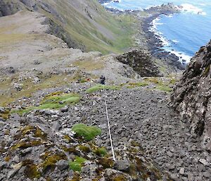 two women working on steep slopes with water and coastline below