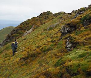 two people working in the Mt Haswell management area on steep slopes