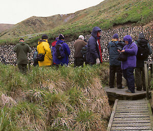 The Sandy Bay tourist platform and surrounding vegetation in 2000, which shows dead vegetation