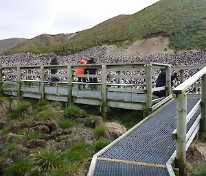 The Sandy Bay tourist platform and surrounding vegetation in 2014 has some green vegetation