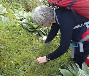 A woman checking plants for seed
