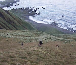 Two people descend the grassy jump down at Hurd Point.