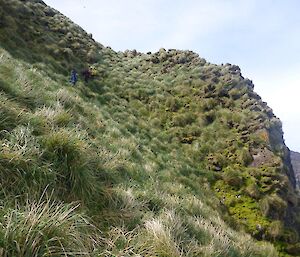 People climbing the hill from Waterfall Bay Hut