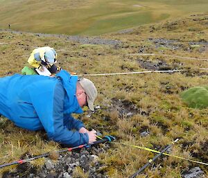 Two men explore the finer things in life – an international collaboration in the name of clubmoss (Huperzia).