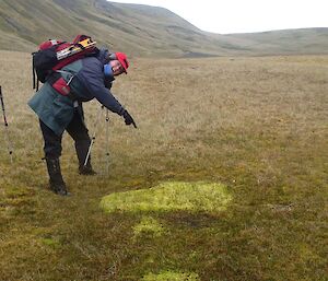 A woman points out some sphagnum, a type of vegetation