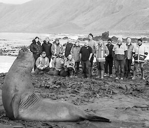 69th ANARE winter team photo with a large seal in the foreground