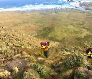 Expeditioners climbing up Macquarie Islands steep slopes