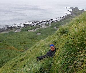 A female researcher navigating the human sized tussocks along the Lusitania Bay slopes — Macquarie Island