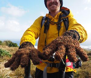 Nick’s gloves covered in buzzies on the jump-up near Flat Creek