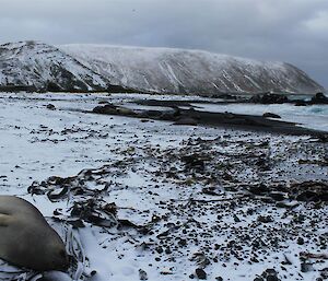 The Southern Ocean with snow on the land.