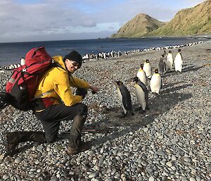 Chef Nickat Sandy Bay with penguins close by on a pebbly beach at Macquarie Island