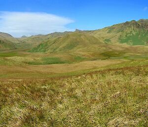 An expeditioner standing on a green hill with blue sky in the background.