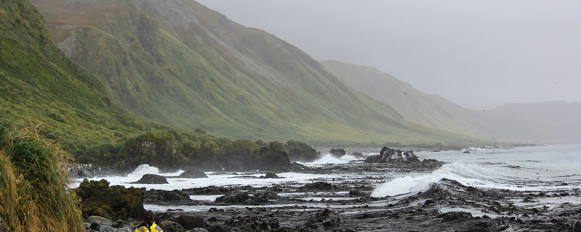 Ranger In Charge Andrea Turbett — Lusitania Bay, Macquarie Island