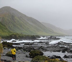 Ranger In Charge Andrea Turbett — Lusitania Bay, Macquarie Island