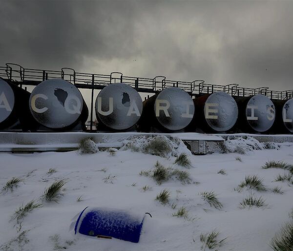 Snow on the ground and covering the official Macquarie Island sign.