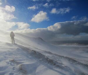 Wildlife Ranger Penny Pascoe walking on a snow covered track.