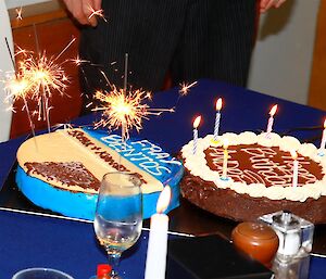 Ranger Andrea’s amazing two birthday cakes.