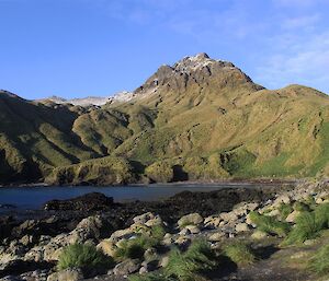 The green slopes of Mount Haswell and the Amphitheatre as seen from Caroline Cove — Macquarie Island