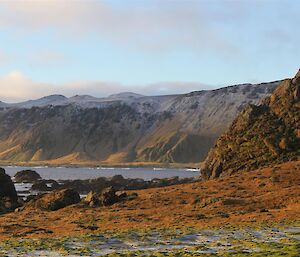 The rugged Macquarie Island west coast — looking north from Cape Toutcher out across Sandell Bay