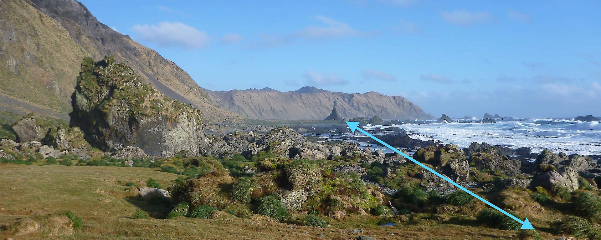 A photo showing the section of coast that all the debris was found.