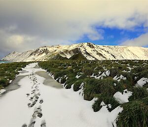 Macquarie Island station under heavy snow.