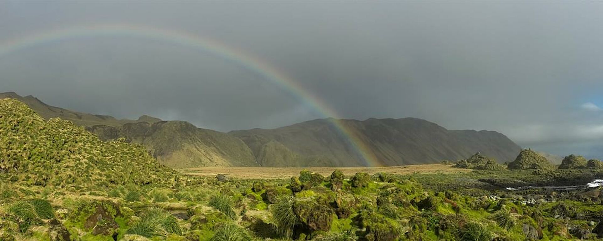 Featherbed with a rainbow in the background.