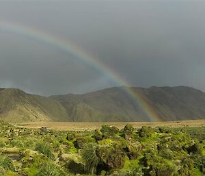 Featherbed with a rainbow in the background.