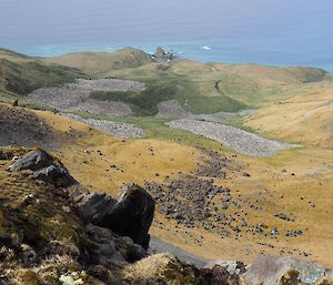 Royal penguin colonies in the distance looking like black dots on the landscape.