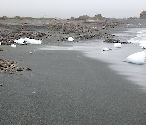 Pieces of the Macca Iceberg arriving ashore on the west coast beach