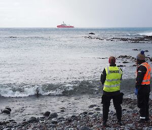 Macquarie Island expeditioners prepare for the arrival the French Navy Icebreaker L'Astrolabe