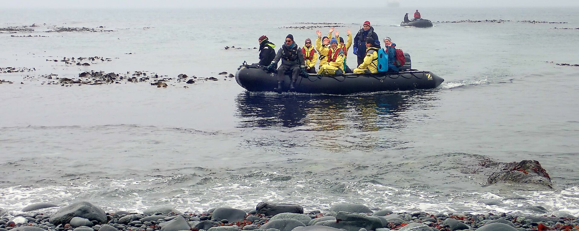 A inflatable boat pulls up onto a rocky shore with an elephant seal laying on the rocks.