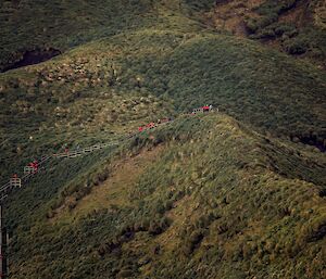 Green hills with people in red jackets walking up stairs.