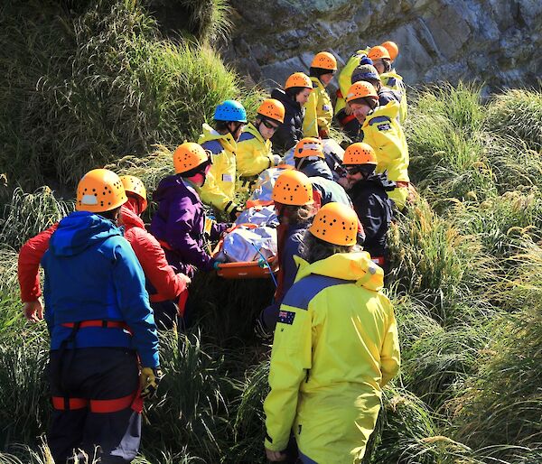 Macquarie Island expeditioners undertaking a stretcher carry as part of the SAR technical rescue exercise