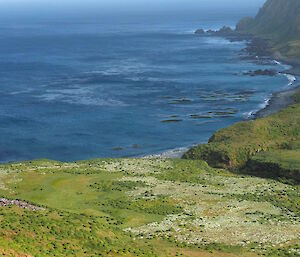 Sandy Bay on Macquarie Island’s east coast — a royal penguin colony is on the left side of the photo.