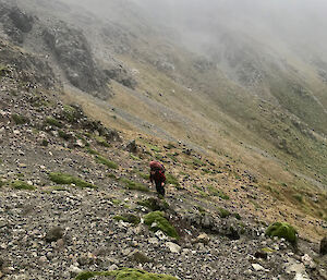 Ranger-In-Charge Andrea tackling one of Macquarie Island’s west coast slopes.