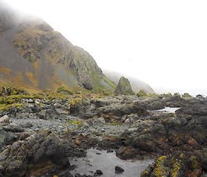 Macquarie Island’s rugged west coast.