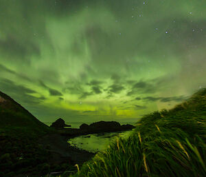 Macquarie Island aurora over Garden Cove.