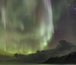 Macquarie Island aurora with gentoo penguins and elephant seals.