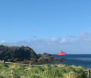The Aurora Australis arrives at Macquarie Island for resupply on Monday 12 March.