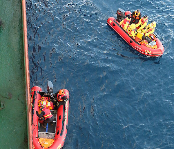 Two inflatable rubber boats beside the RV Aurora Australis off shore at Macquarie Island. One is loaded with several passengers ready to be ferried to the shore